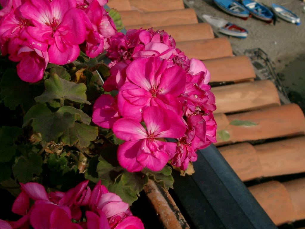 Hotel La Riva Giardini Naxos Eksteriør bilde